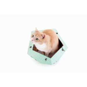 Cat-in-the-Box OLIVER Katteseng