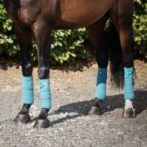 Premier Equine Polo Fleece bandager - Turkis