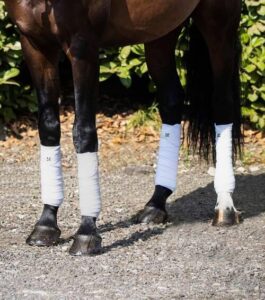 Premier Equine Polo Fleece bandager - Hvid