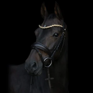 ByWeber Prinsess Pandebånd - Gold - COB