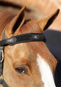 Premier Equine Magni-Teque Magnet pandeb�nd til hest