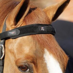 Premier Equine Magni-Teque Magnet pandeb�nd til hest