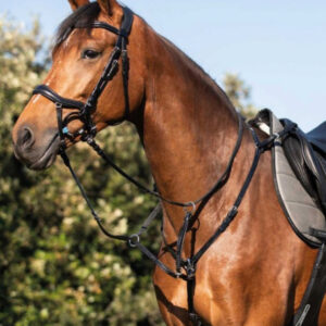 Acavallo - Fort�j, l�der - Cob / BLACK