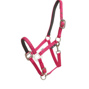Horse Guard - Grime, Love - Fruit Dove / PONY