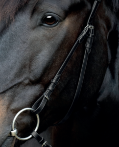 Catago Gentle Bridle Kindstykker - COB - BRUN