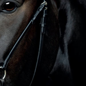 Catago Gentle Bridle Kæberem - COB - BRUN