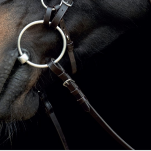 Catago Gentle Bridle Hagerem - COB - BRUN