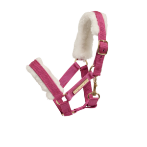 Cheval Roi Grime, Raspberry