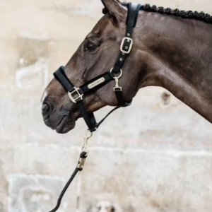Kentucky Velvet Grime - Sort - COB