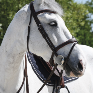 Antares Signature Flash Trense - COB (STR 1) - BRUN