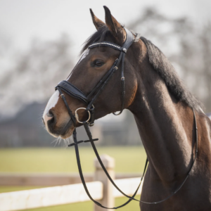 QHP Skye Trense - PONY