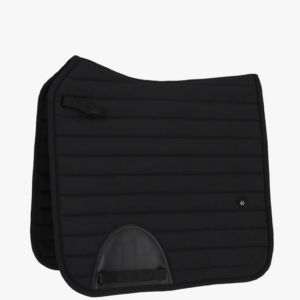 QHP Salerno Underlag - DR17"