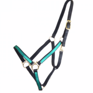 Equitare Pro nylongrime - Sort/gr�n, Full