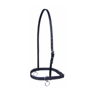 Walsh sp�rregrime - Nylon