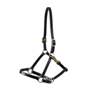 Premier Equine l�der grime