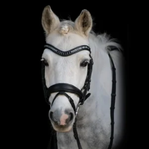 ByWeber Sofia Trense - COB
