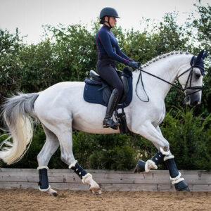 Premier Equine Techno Wool gamacher - Navy, L