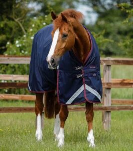 Premier Equine Titan 200 Original Turnout d�kken - Navy - 6,9" (155cm)