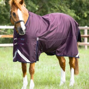 Premier Equine Titan 200 Original Turnout d�kken - Lilla - 5,6" (125cm)