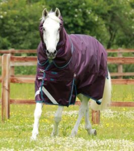 Premier Equine Titan 200g Turnout d�kken med Snug-fit hals - Lilla - 5,6" (125cm)