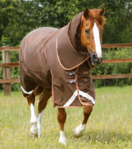Premier Equine Titan 300g d�kken - 5,9" - 130cm, Brun