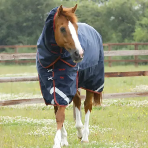 Premier Equine - Titan 450g vinterd�kken med Snug-Fit hals - Navy