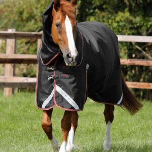 Premier Equine Titan 100g d�kken med Snug-fit hals - Sort