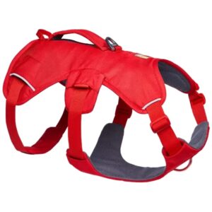 Ruffwear Web Master Harness, Red Canyon, Large/Xlarge