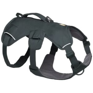 Ruffwear Web Master Harness, Basalt Gray, Large