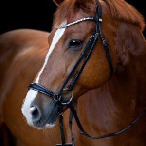 HorseGuard Cryll 25.1 Hannoveransk Trense - COB