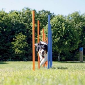 Agility pinde - slalomst�nger