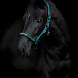 HorseGuard Sandra Grime, Darkest Spruce - PONY