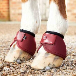 Premier Equine Ballistic No-Turn klokker - Burgundy
