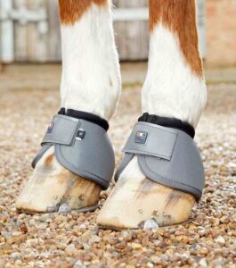 Premier Equine Ballistic No-Turn klokker - Gr� - Medium