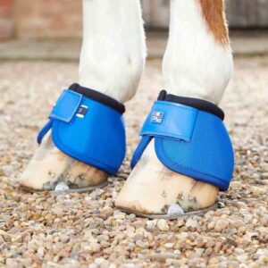Premier Equine Ballistic No-Turn klokker - Royal bl� - XXLarge