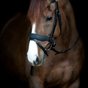 HorseGuard Cryll 24.2 Trense - PONY