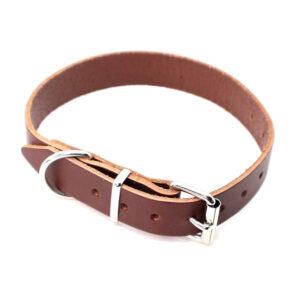 Brunt hunde halsb�nd i l�der, Halsrem 25 mm x 50 cm
