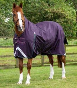 Premier Equine Buster Hardy d�kken 100g med h�j hals - Lilla - 5,3 120cm