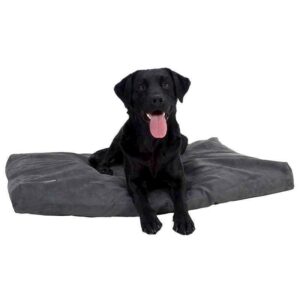Memory foam hundeseng, Gr�, 100 x 120 cm