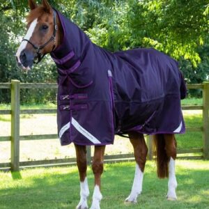 Premier Equine Buster Storm Combo 420g med s�ml�s hals - Lilla