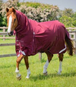 Premier Equine Buster Storm Combo 90g d�kken - Burgundy - 6,9" (155cm)