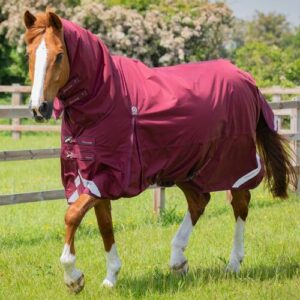 Premier Equine Buster Storm Combo 90g d�kken - Burgundy