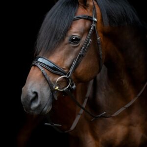 HorseGuard Cryll 24.1 Trense - FULL - BRUN