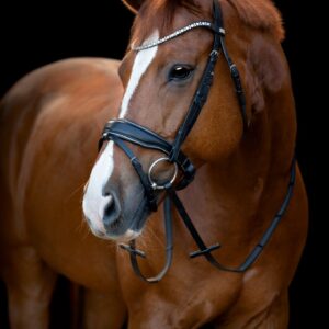 HorseGuard Cryll 25.1 Trense - FULL