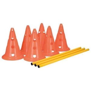 Agility kegles�t med 3 spring (6 kegler og 3 pinde)