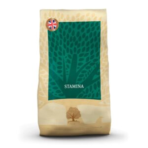 Essential Heritage STAMINA til aktive hunde, 10 kg