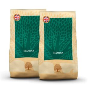 2 x 10 kg Essential Heritage STAMINA til aktive hunde