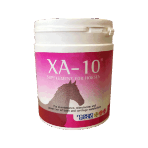 XA-10, 600 g