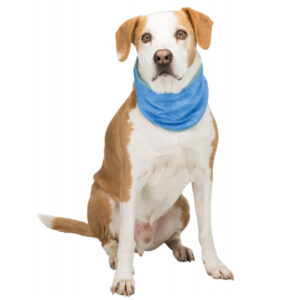 Active Canis K�lende bandana til din hund