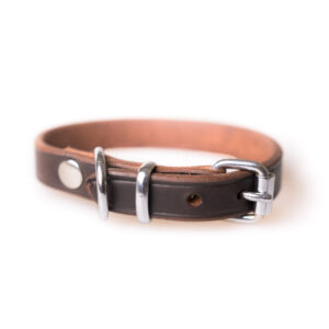 Active Canis l�derhalsb�nd - Brun